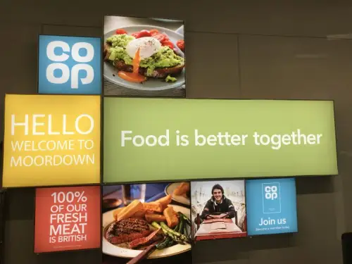 Click Here To Enlarge This Photo Of Coop - Tattanhall & Bournemouth